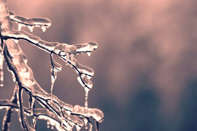 Deep Freeze Hits Southeast With Snowstorms, Widespread Claims, and Florida Crop Risk - Insurance Claims News Article