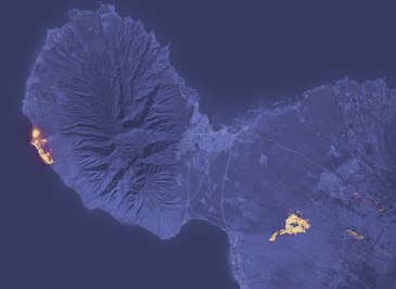 Hawaiian Electric’s Neglected Right-of-Way Possibly a Key Factor in Maui’s Wildfire - Insurance Claims News Article