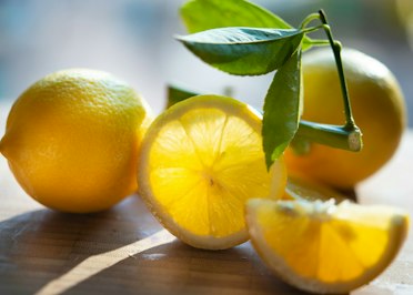 Lemonade Data Breach Linked to Auto Insurance Quoting System Flaw - Insurance Claims News Article