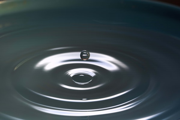 Ripple Effect: Silicon Valley Bank’s Insolvency