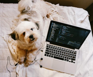 Workers’ Comp Coverage When Every Day Is Bring Your Child (and Pets, and Neighbors) to Work Day - Insurance Claims News Article