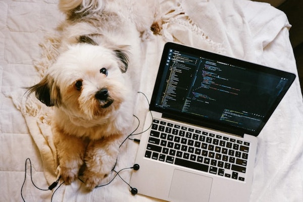 Workers’ Comp Coverage When Every Day Is Bring Your Child (and Pets, and Neighbors) to Work Day