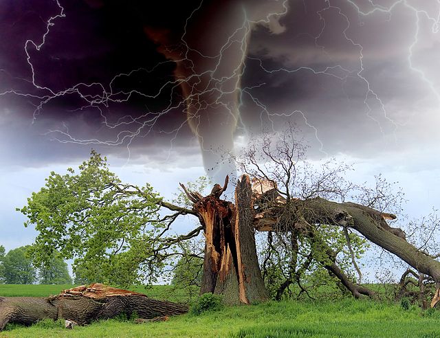 Tornadoes Hit South Florida as Hurricane Milton’s Landfall Strikes Elsewhere