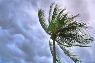Proposed House Bill 1213 Aims to Transform Citizens Property Insurance into Primary Windstorm Coverage Provider - Insurance Claims News Article