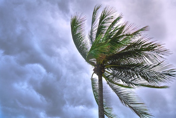 Proposed House Bill 1213 Aims to Transform Citizens Property Insurance into Primary Windstorm Coverage Provider