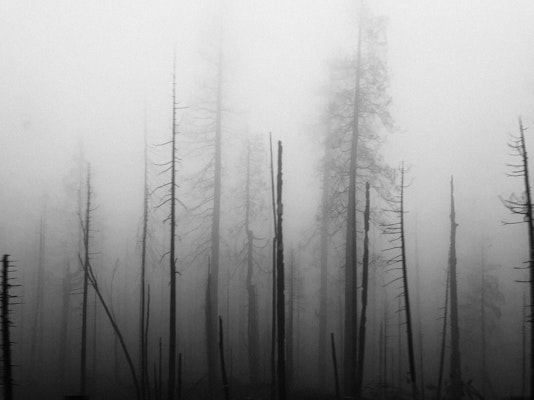 Answers From The Ashes: Determining Origin And Cause