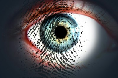 Trends in Class-Action Litigation - Insurance Claims News Article