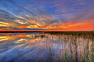 Florida Case Study Shows Benefits of Hurricane Adaptation Efforts - Insurance Claims News Article