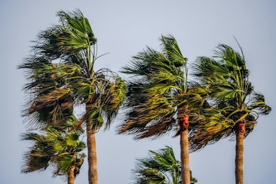 Wind Mitigation Discounts Alone Won’t Stop Property Insurance Premium Surge, Studies Say - Insurance Claims News Article