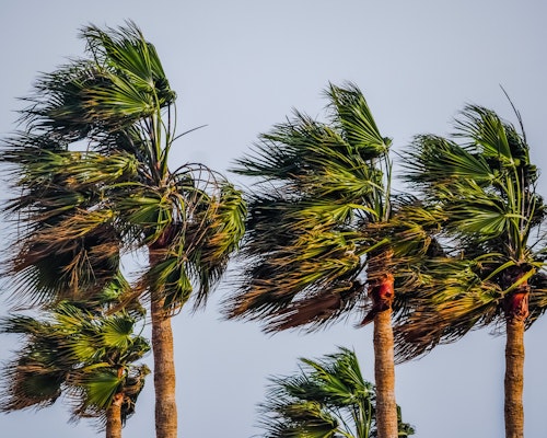 Tropical Depression Looms in Caribbean, Florida on Alert 