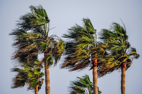 Hurricane Milton’s Winds Top 120 mph, Damage Roofs and Power Lines in St. Petersburg Area