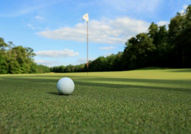 Hole-in-One Prize Insurance Operator Pleads Guilty to Wire Fraud - Insurance Claims News Article