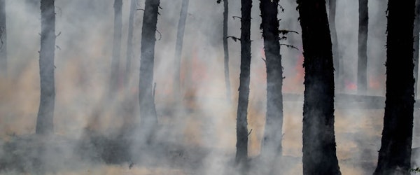 Climate And Wildfire Risk: A Conversation With Dr. Craig Clements (Triple-I Resilience Blog)