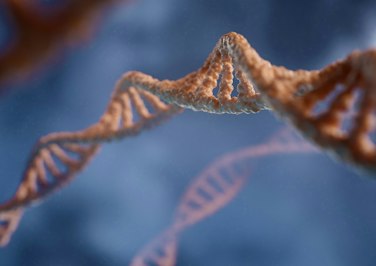 Misconceptions Around Genetic Risk Testing and Why Life Insurers Should Embrace It - Insurance Claims News Article
