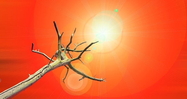 Federal Insurance Office Gently Turns Up The Heat On Global Warming