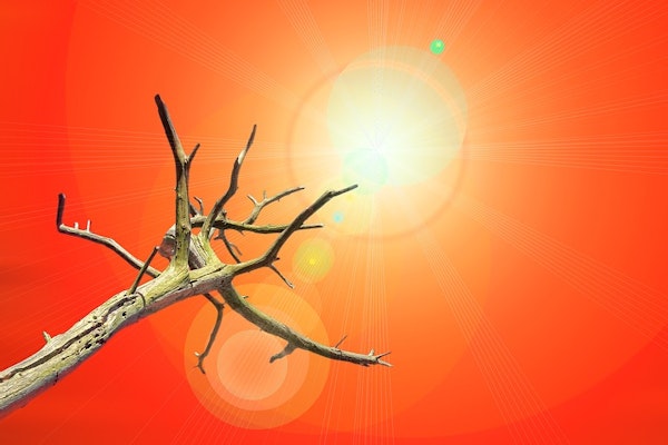 Federal Insurance Office Gently Turns Up The Heat On Global Warming