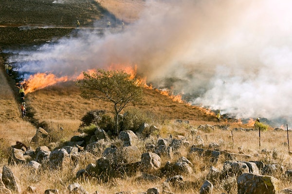 California Controversy: Liability And Prescribed Burns