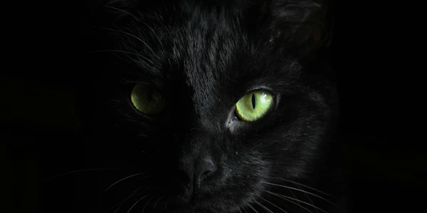 U.S. Offers $10 Million Bounty for Information on BlackCat Ransomware Gang Leaders (BE4SEC)