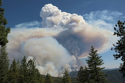 California’s Mosquito Fire to Cost Utility PG&E $100M - Insurance Claims News Article