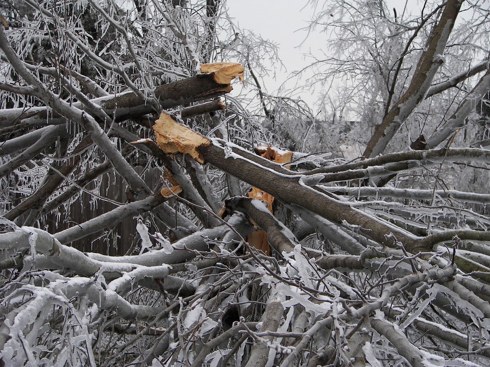 State Farm Reports 1,200+ Claims as Winter Storm Fern Triggers Frozen Pipe and Tree Damage (Insurance Business)
