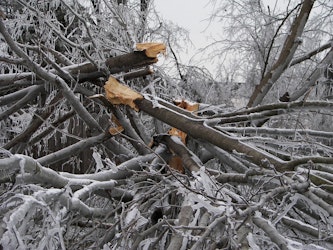 Oregon Utilities Work To Restore Power After Ice Storm Damage (KGW )