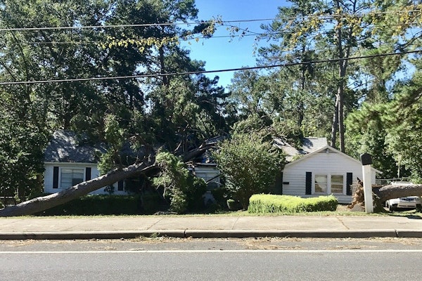 Hurricane Ida Special Report: Damage From Falling Trees
