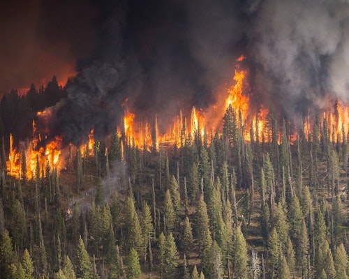 Adapting to Wildfire Realities: Insurance Sector’s Evolving Role in Risk Management