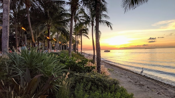 Turmoil in Florida: Triple-I Warns of Imminent Insurer Insolvency