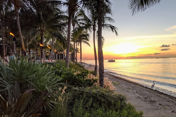 Turmoil in Florida: Triple-I Warns of Imminent Insurer Insolvency