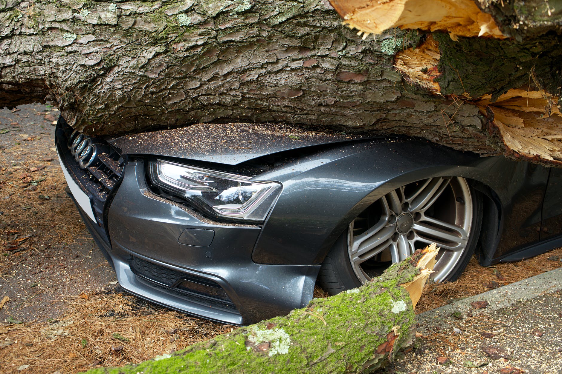 Texas Bill Seeks To Improve Accuracy Of Repair Estimates - Insurance Claims News Article