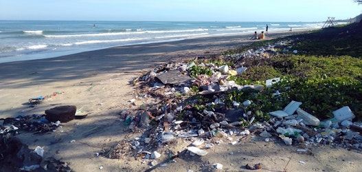 Plastic Pollution Could Trigger $20B in Payouts - Insurance Claims News Article