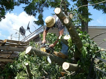 Home Insurance Crisis: Rising Costs and Climate Challenges - Insurance Claims News Article