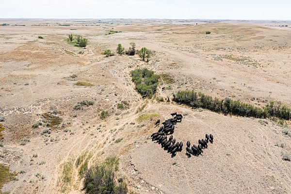 Using The Tools Of Tomorrow To Solve Today’s Claims Crises