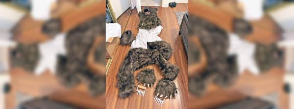 Fake Bear Attack Insurance Scam Leads to Arrests in California (NBC News)