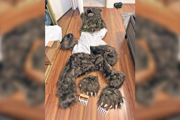 Fake Bear Attack Insurance Scam Leads to Arrests in California