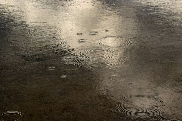 Court Decision On &ldquo;Surface Water&rdquo; In The Policy Exclusion, But Not In The Flood Endorsement