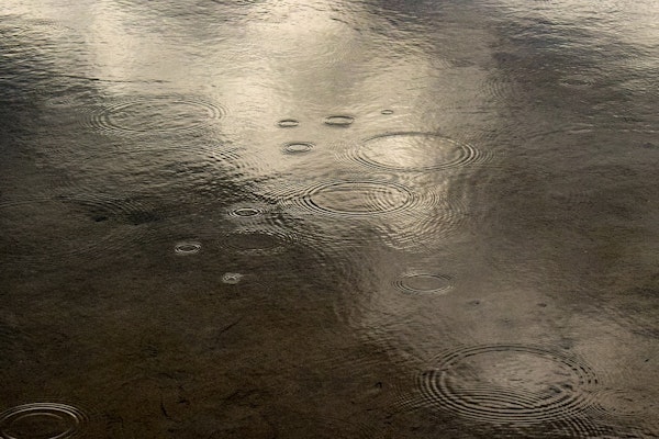 Court Decision On “Surface Water” In The Policy Exclusion, But Not In The Flood Endorsement