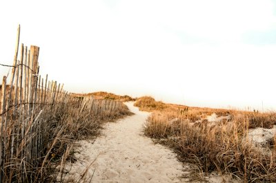 Atlantic City Races Against Time for Beach Replenishment Before Summer Season - Insurance Claims News Article