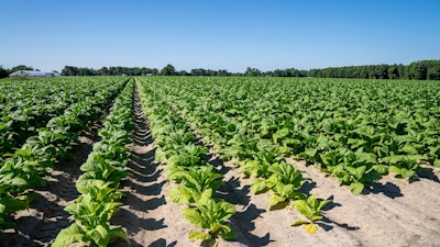 Florida Farmer Pleads Guilty in $1.6 Million Crop Insurance Fraud Case - Insurance Claims News Article