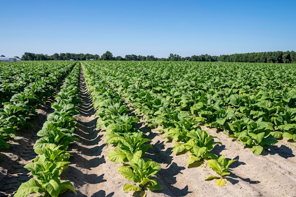 Two Sentenced For Massive Crop Insurance Fraud Scheme