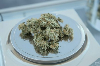 State by State Marijuana Laws - Insurance Claims News Article