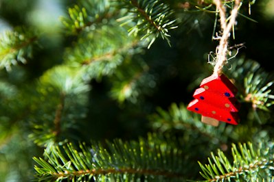 Top Holiday Risks Driving Property and Auto Insurance Claims - Insurance Claims News Article