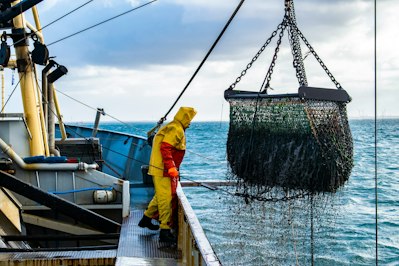 Fishermen Face Rising Safety Risks as Federal Training Programs Lose Funding - Insurance Claims News Article