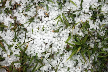 Early Spring Hail and Wind Claims Drive Hidden Costs for Insurers - Insurance Claims News Article