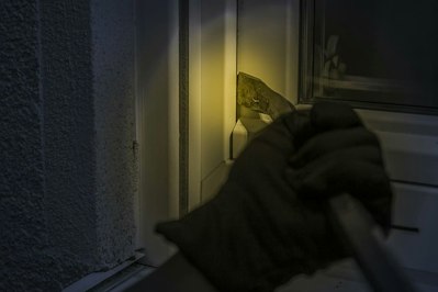 Security Company Partners With State Farm to Boost Homeowners’ Risk Mitigation - Insurance Claims News Article