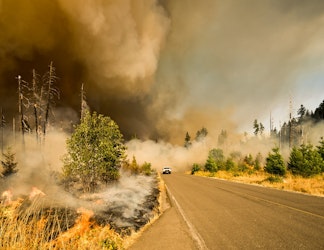 North American Hurricane And Wildfire Season May Be More Extreme: Munich Re - Insurance Claims News Article